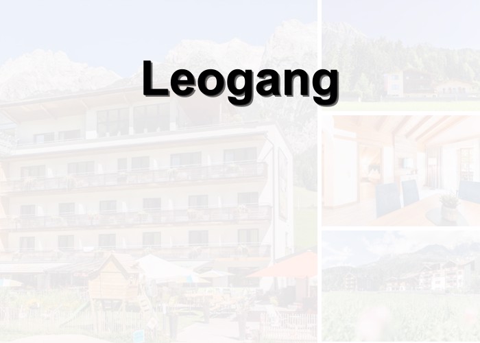 blog Letní rána v Leogangu: Tam, kde koně klušou mezi loukami a zvoní kravské zvonce