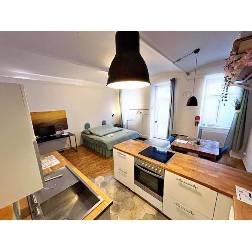 2-bedroom apartment with small courtyard - city center