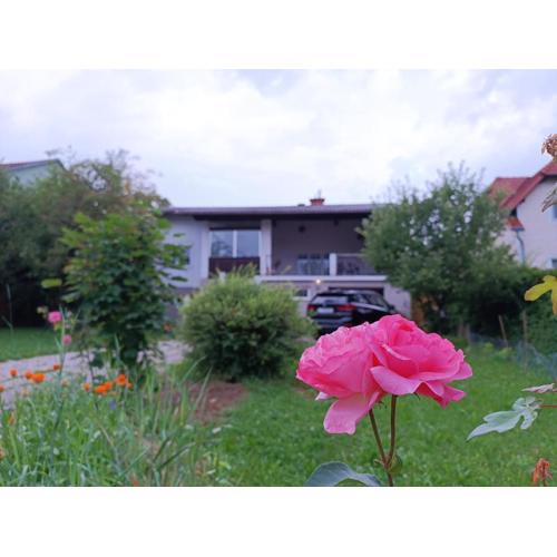 A place to be - Ruhelage mit gratis Parkplatz