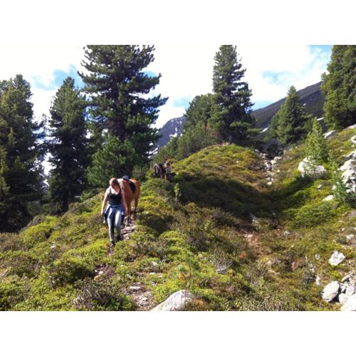 Adventure