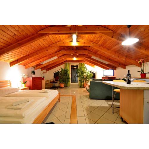 AJO Apartments - Alte Donau Lake View Penthouse - Self-Check-in