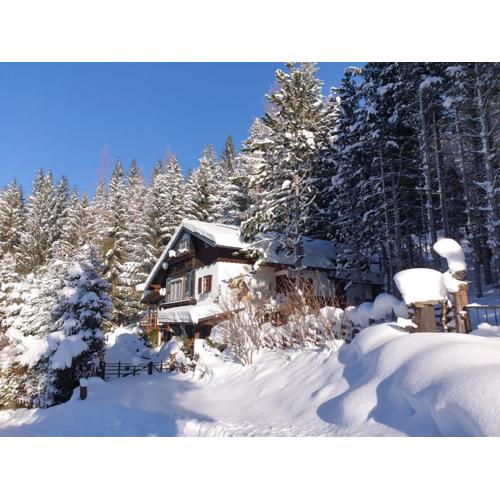 Alm-Ferienhaus Gaisegg am Klippitztörl