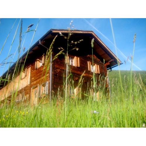 Almhütte Gorgasser
