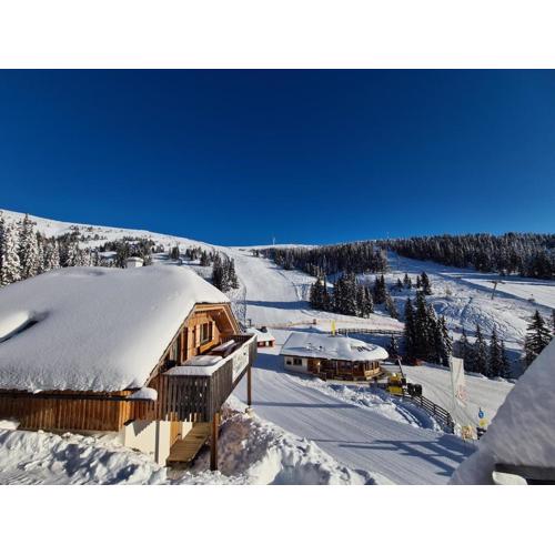 Almhütte Lachtal