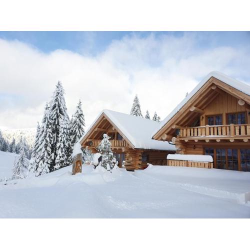 Almzauber Chalets - Haus Enzian inkl Infrarotliegen
