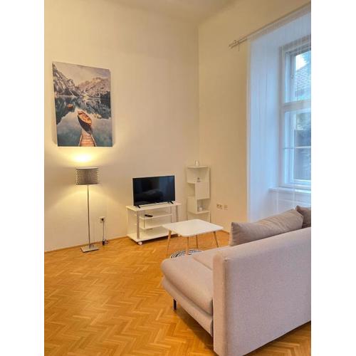 AlPa 2 Zimmer Wohnung in Wien Rochusmarkt