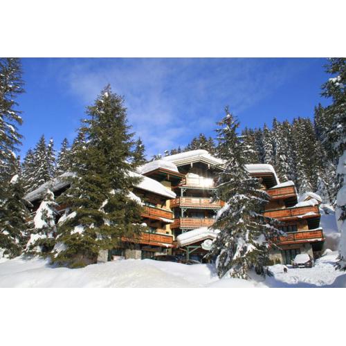 Alpen Appartements Zauchensee