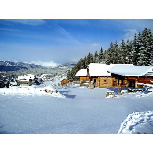 Alpenchalets Weissenbacher-Fuchsbau