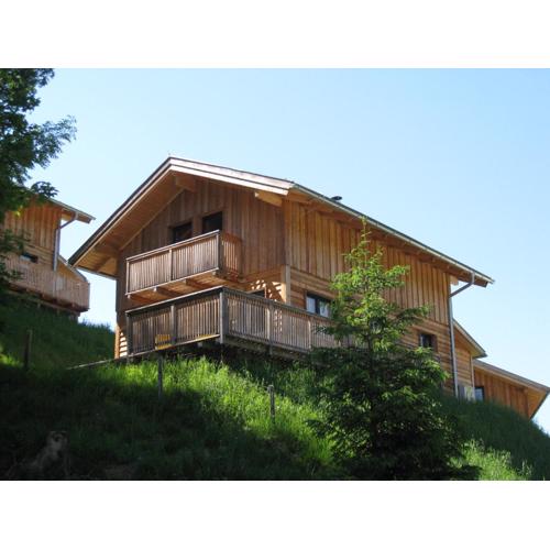 Alpenferienhaus Dachstein-West