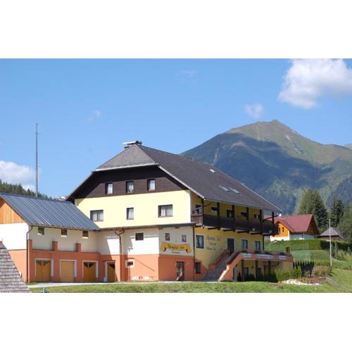 Alpenhotel & Aparthotel Lanz