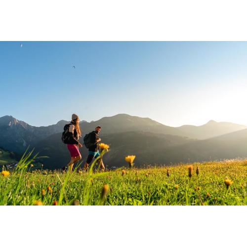 Alpenhotel Wanderniki