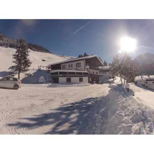 Alpenperle