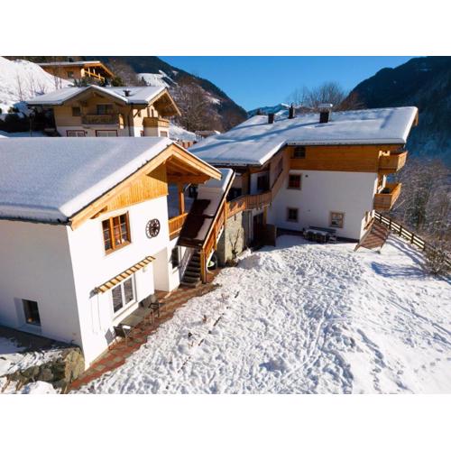 Alpensteinbock Saalbach B