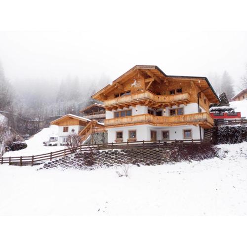 Alpensteinbock Saalbach D