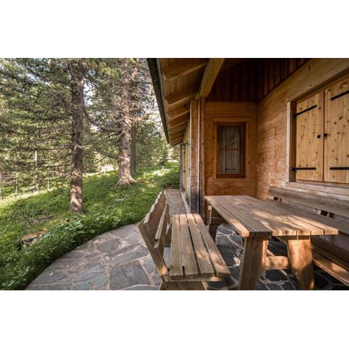 Alpin-Hütten auf der Turracherhöhe Haus Murmeltier by S4Y