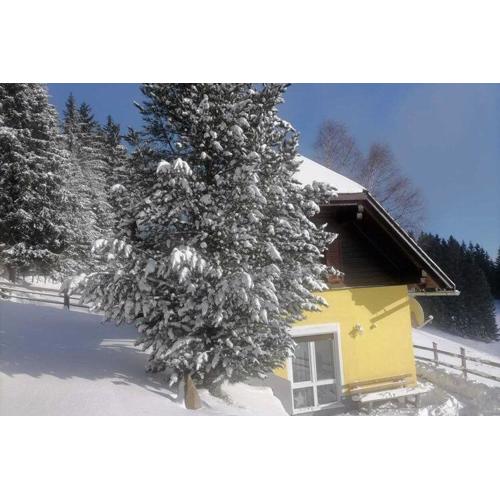 Alpine House in Prebl near Klippitztörl Ski Area