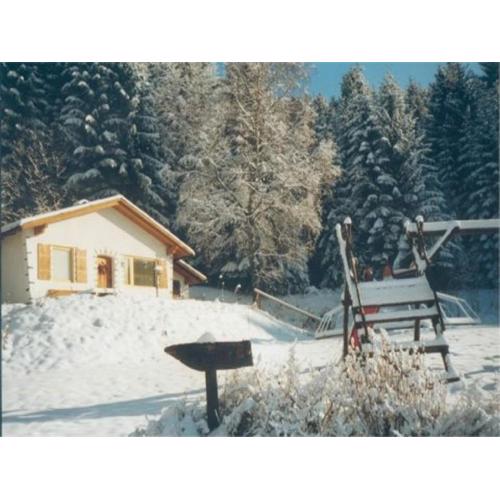 Alpine Hut in Eberstein near Ski Area