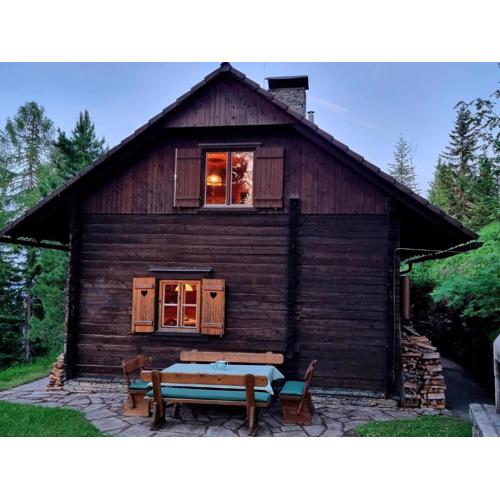 Alpine Hut in Murau near Ski Slope