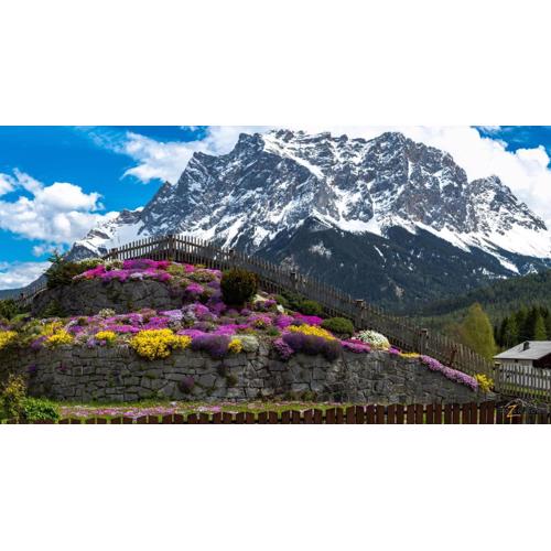 Alpinum Hostel