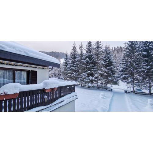 Am Kaltenbach - Spital am Semmering, Stuhleck