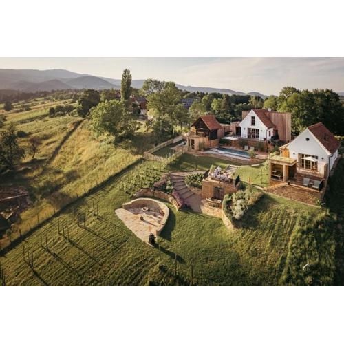 Am Wildbachberg - Luxus Ferienhäuser mit Infinitypool, Privatsauna und Weinkeller