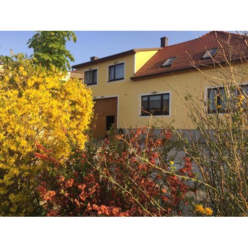 Amstetter’s Ferienwohnung