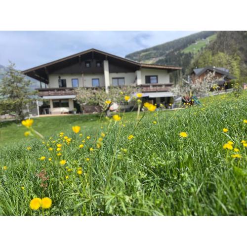 Apart Bergblick