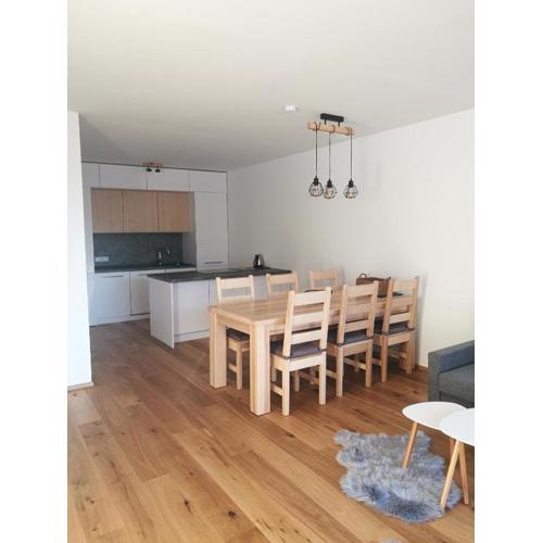 Apartman Hechlstein v Tauplitz