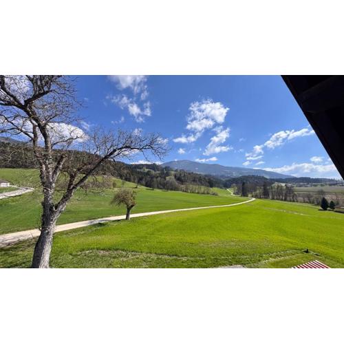 Apartment - Wolfsberg