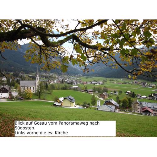 Apartment 14 Edelweiss Gosau
