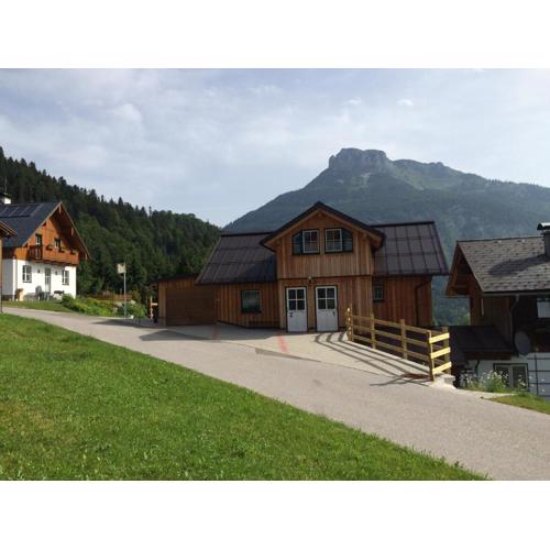Apartment Altaussee