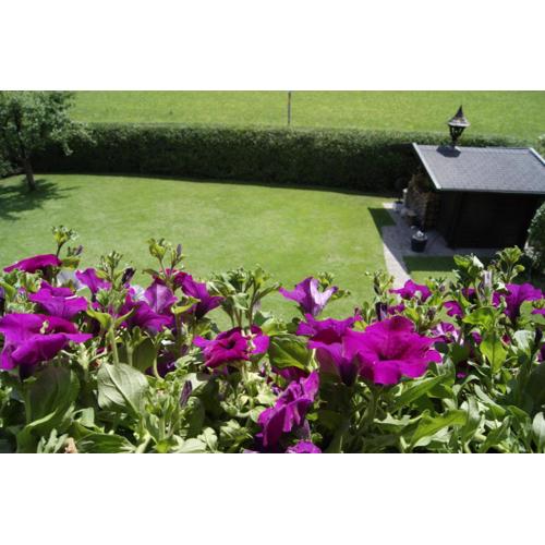 Apartment am Wolfgangsee