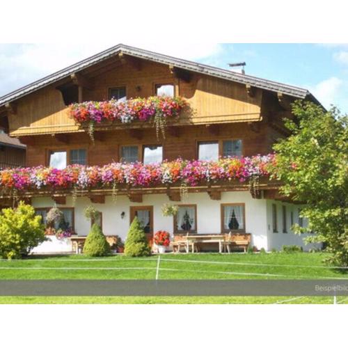 Apartment at the Achensee