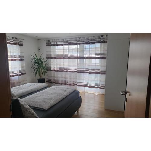 Apartment Baicu Zell am See