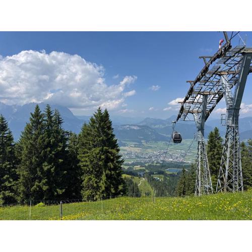 Apartment „Bergblick“