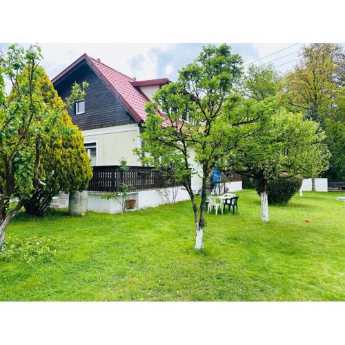 Apartment Dolina 8a Kärnten KLagenfurt