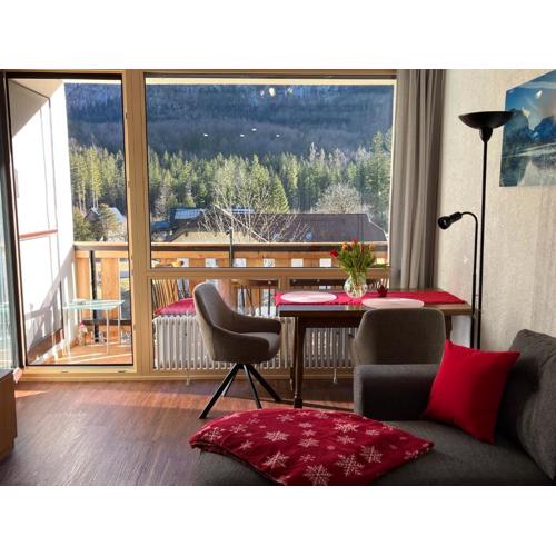 Apartment Elisabeth