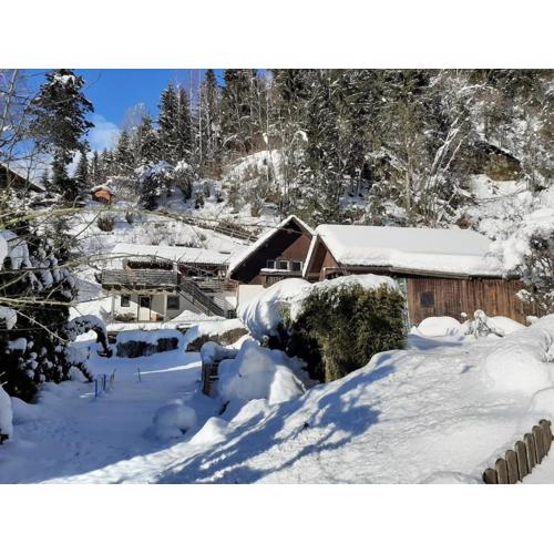 Apartment Feld am See near Ski Slopes
