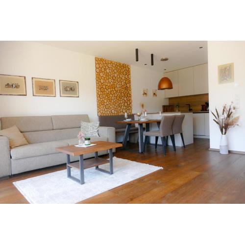 Apartment Grimmingpanorama