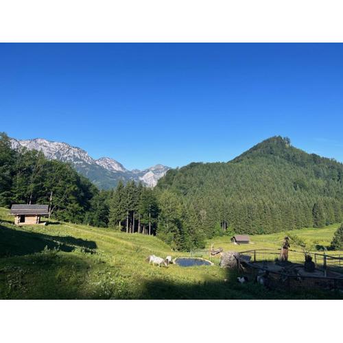Apartment Hochsteinalm
