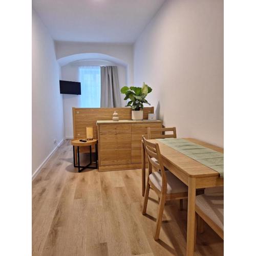 Apartment im Stadtzentrum