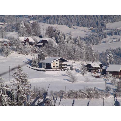 Apartment in Afritz near Ski Slopes