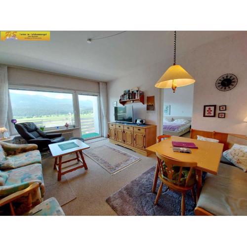 Apartment in Bad Mitterndorf - Steiermark 36988
