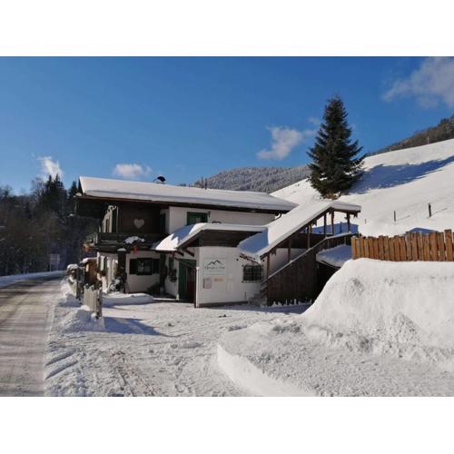 Apartment in Dienten near Gabühel Ski Lift