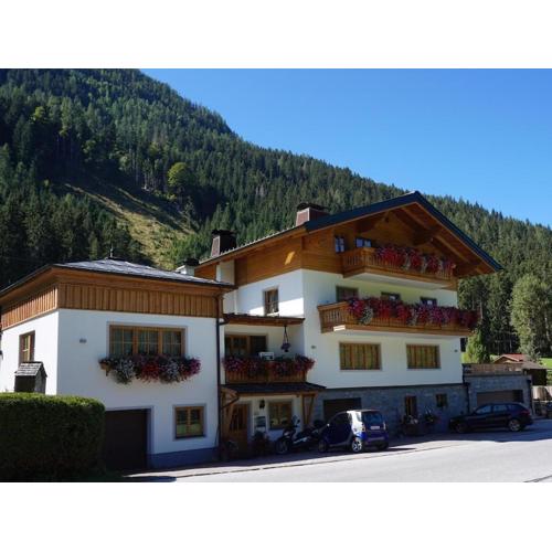 Apartment in Flachau near Ski Slopes
