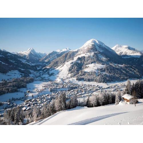 Apartment in Kirchberg near Ski Lift