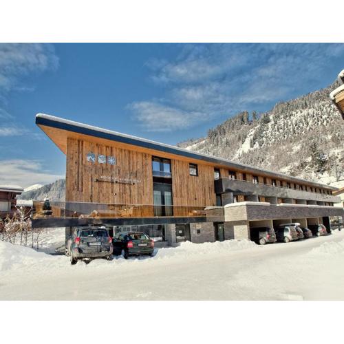 Apartment in Neukirchen near Ski Lift