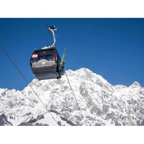 Apartment in Saalfelden near Ski Slopes