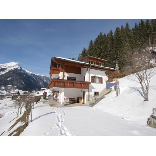 Apartment in Sankt Gallenkirch near Ski Area