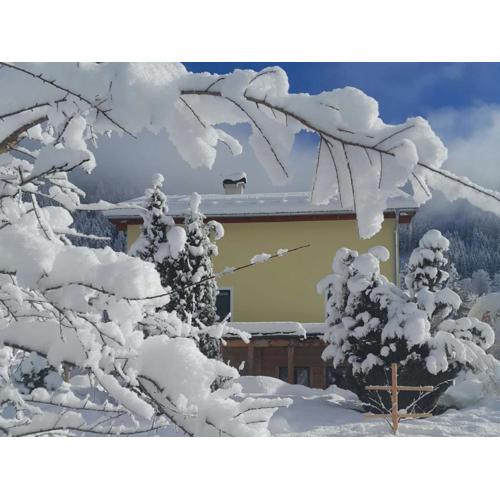 Apartment in Untertauern near Ski Slopes